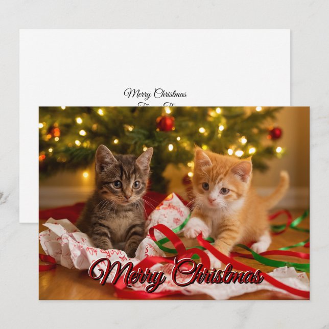 Cute Kittens Under Christmas Tree Holiday Card (Front/Back)
