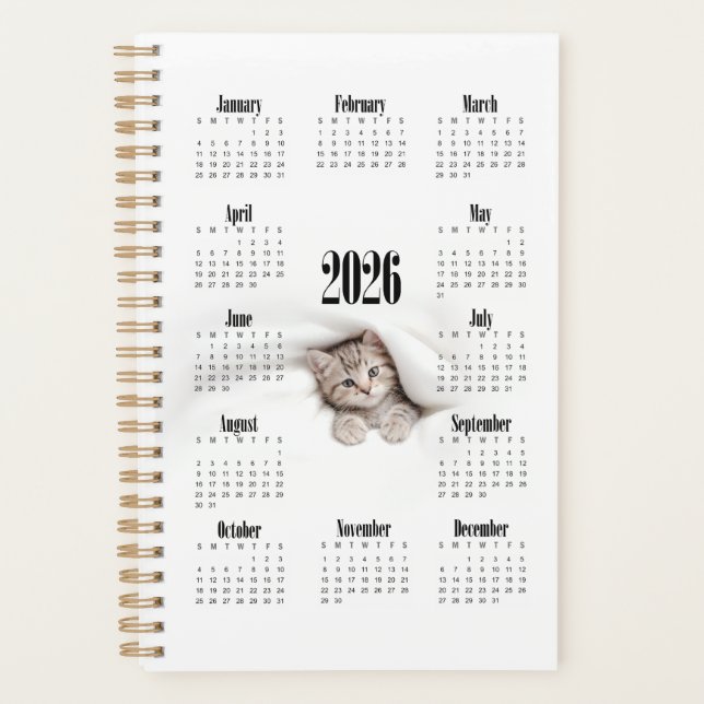 Cute kitty (Devant)