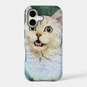 Cute Kitty