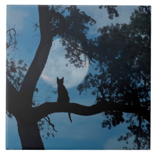 Cute Kitty and Moon Art Tile