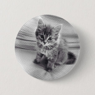 Cute Kitty Button