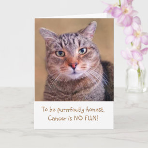 Cute Kitty Cancer Support Card