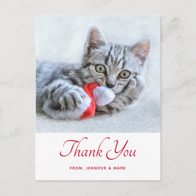 Cute Kitty Cat Biting Red Santa Hat Xmas Thank You Postcard (Front)