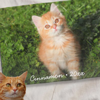 Cute Kitty Cat Personalized Pet Photo Custom