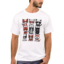Cute Kitty Cats