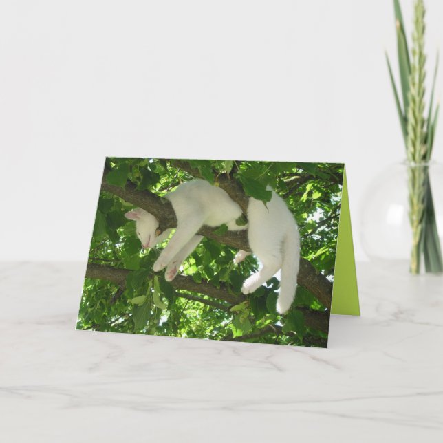 Cute Kitty Chat Cute Carte personnalisable (Devant)