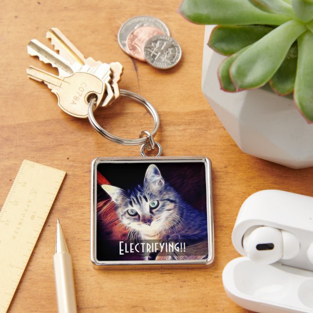 Cute Kitty In The Rafters Close-Up Photograph Keychain (Desk)