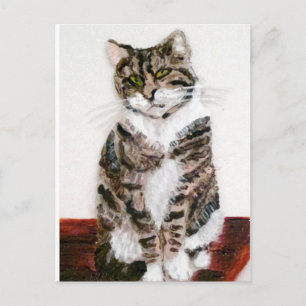 Cute Kitty Pet Portrait Tabby Cat Postcard