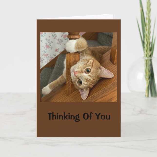Cute Kitty Thinking Of You Card (Front)