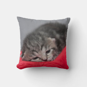 Cute kitty throw pillow