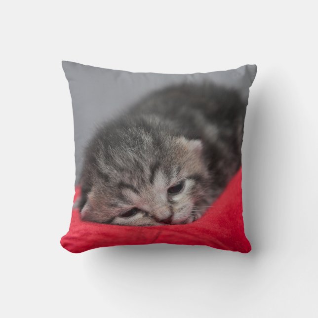 Cute kitty throw pillow (Front)