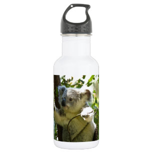 Cute Koala Aussi Outback Safari Zoo Park Colourful 532 Ml Water Bottle