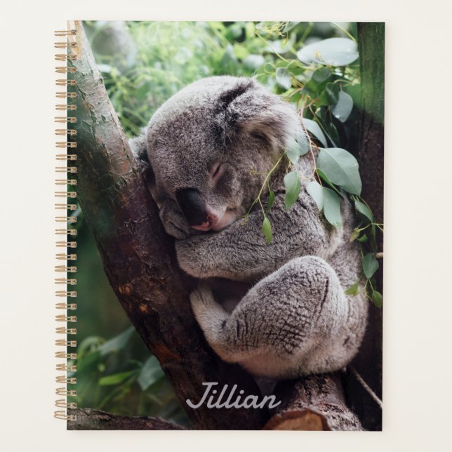 Cute Koala Bear Animal Lovers Annual  Planner (Front)
