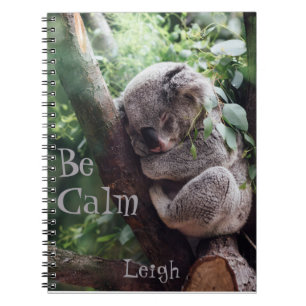 Cute Koala Bear Animal Lovers Journal