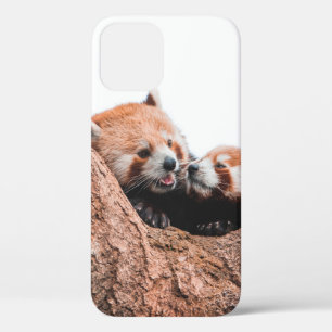 CUTE KOALA BEAR FAMILY iPhone 12 CASE