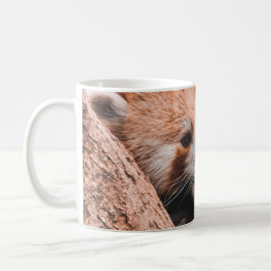 CUTE KOALA BEAR FAMILY COFFEE MUG
