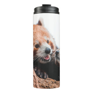 CUTE KOALA BEAR FAMILY THERMAL TUMBLER