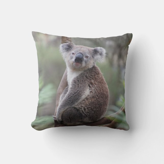 Cute Koala Bear in a Tree Animal Throw Pillow (Front)