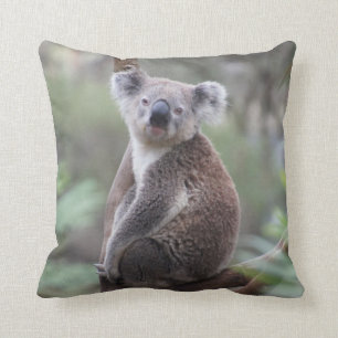 Cute Koala Bear in a Tree Animal Throw Pillow