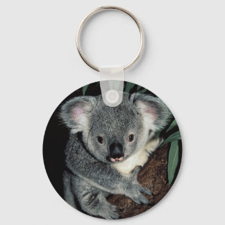Cute Koala Bear Keychain