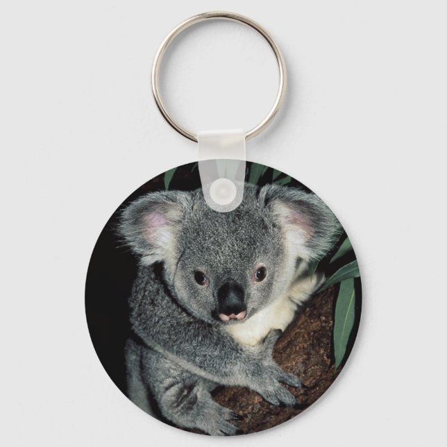 Cute Koala Bear Keychain (Front)