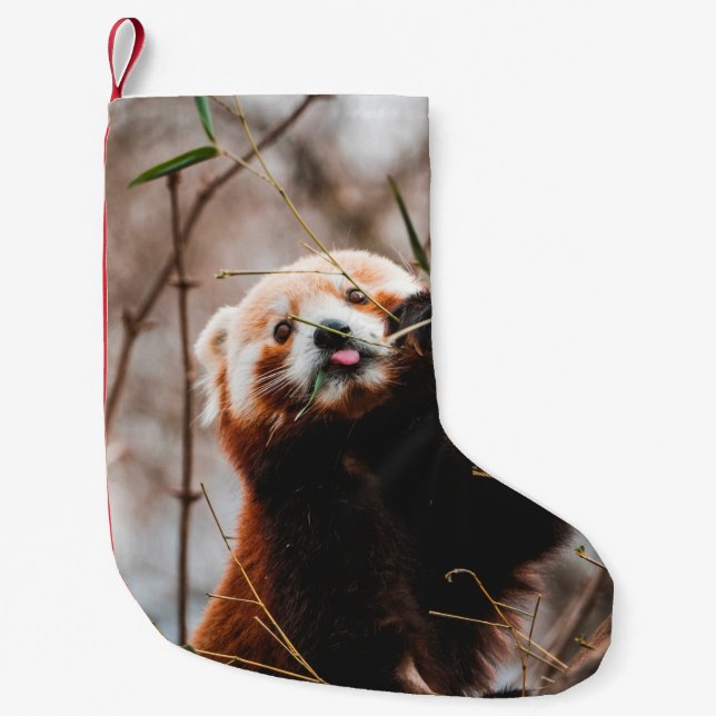 CUTE KOALA BEAR SMALL CHRISTMAS STOCKING (Front)