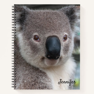 Cute Koala Bear Spiral Notebook