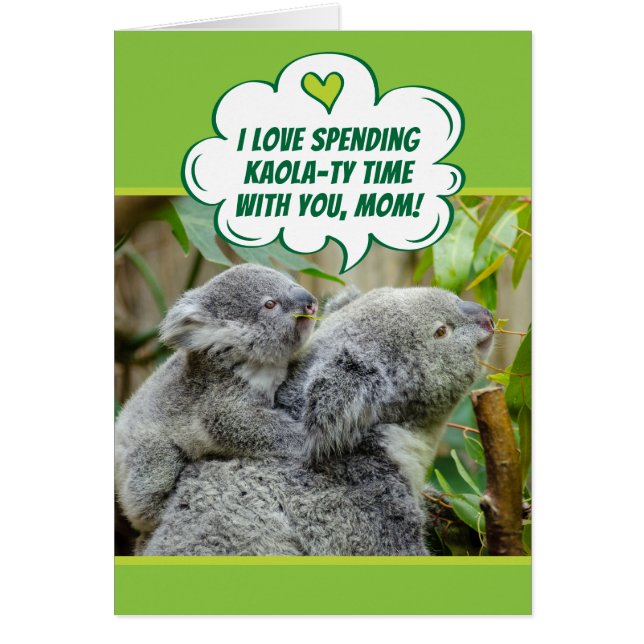 Cute Koala Bears Spending Quality Time Together (Front)