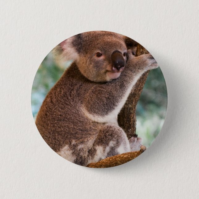 Cute Koala Button (Front)