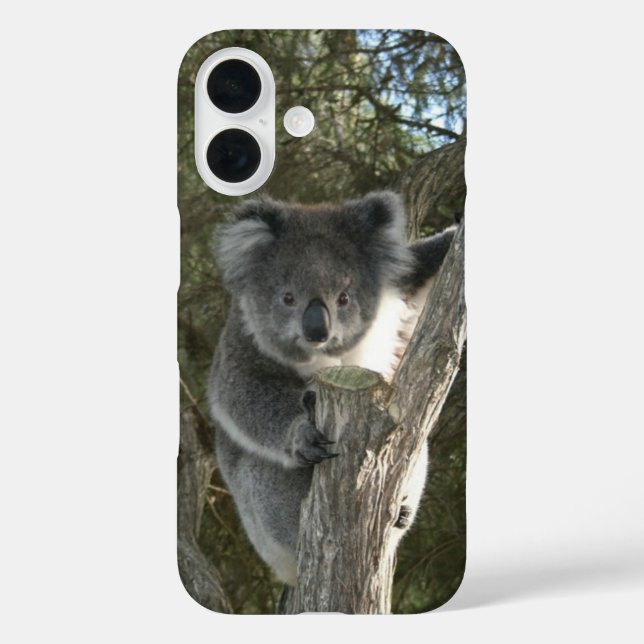 Cute Koala Climbing a Tree Case-Mate iPhone Case (Back)