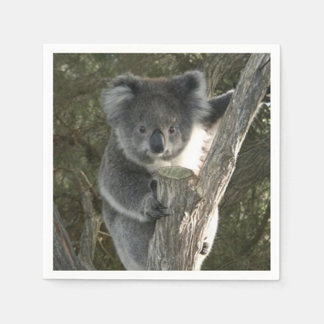 Cute Koala Climbing a Tree Napkin (Front)