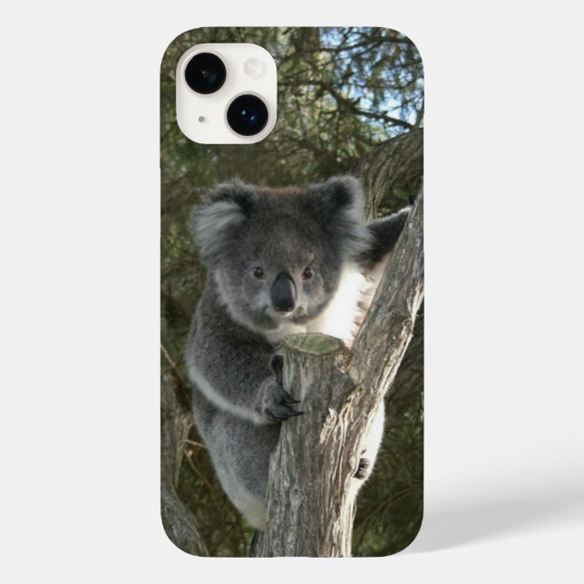 Cute Koala Climbing a Tree Photo Case-Mate iPhone Case (Back)