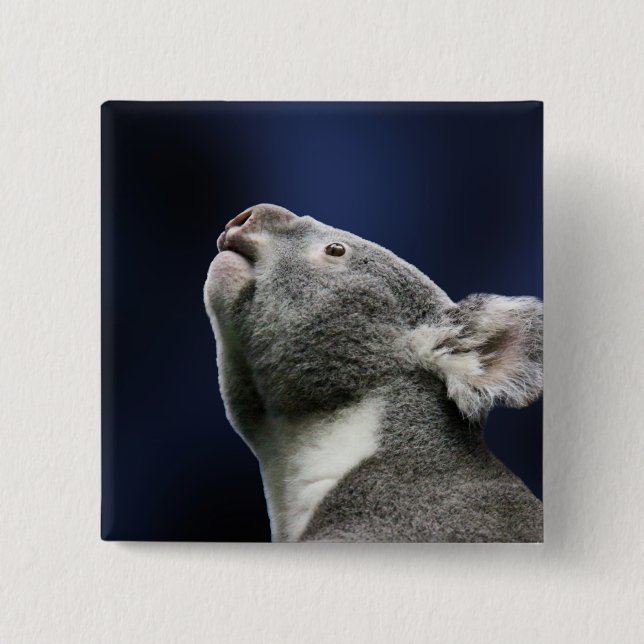 Cute Koala looking up in wonder 2 Inch Square Button (Front)
