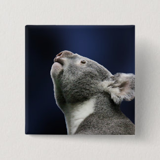 Cute Koala looking up in wonder 2 Inch Square Button
