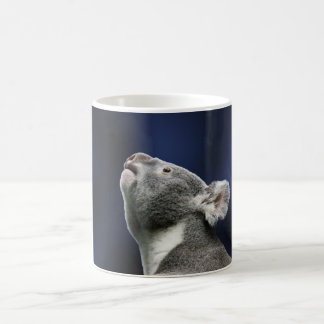 Cute Koala looking up in wonder Coffee Mug