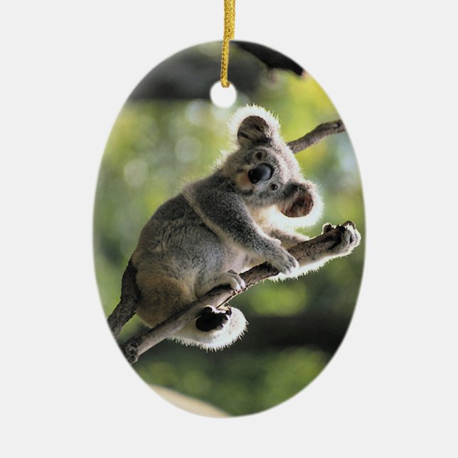 Cute Koala ornament (Front)