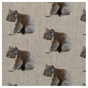 Cute Koala Photo Print Fabric