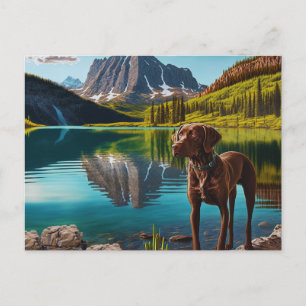 Cute Lab Dog Chocolate Labrador Retriever Animal Postcard