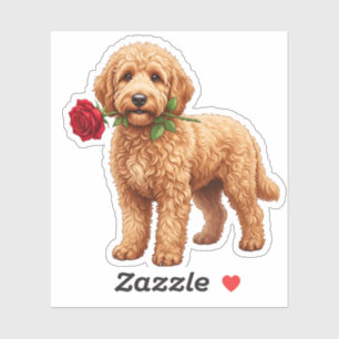 ‏Cute Labradoodle Dog
