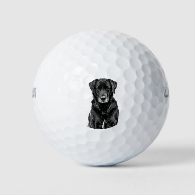 Cute Labrador Black Dog Puppy Pet Sketch Golf Balls (Front)