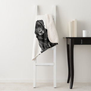 Cute Labrador Black Dog Puppy Pet Sketch Sherpa Blanket
