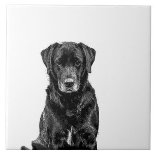 Cute Labrador Black Dog Puppy Pet Tile