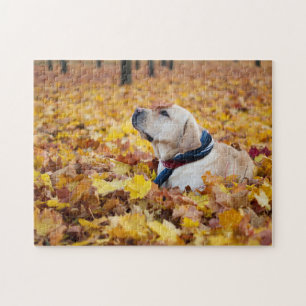 Cute Labrador Dog In Fall Leaves Jigsaw Puzzle