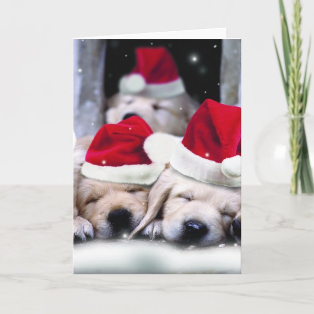 Cute labrador puppies with x-mas hats holiday card (Front)
