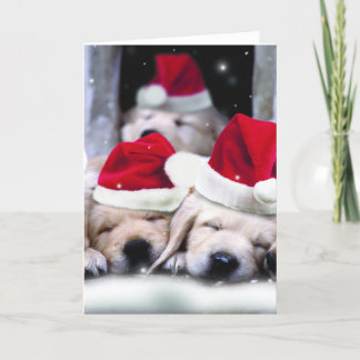 Cute labrador puppies with x-mas hats holiday card