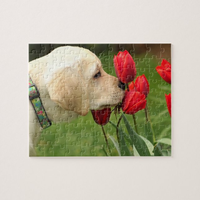 Cute Labrador Puppy Puzzle (Horizontal)