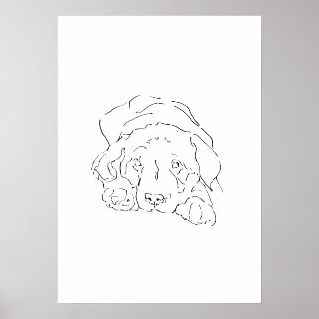 Cute Labrador Retriever Wall Art, Poster Drawing (Front)