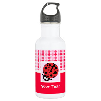 Cute Ladybug 532 Ml Water Bottle