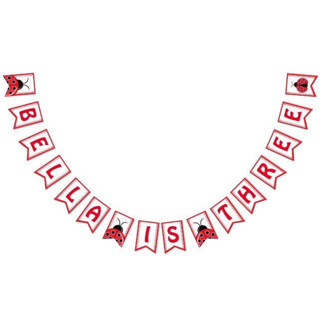 Cute Ladybug birthday Bunting Flag for Girl (All)