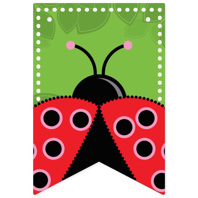 Cute Ladybug Birthday Bunting Flags/Banner Bunting Flags (First Flag)